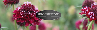 Subscriptions