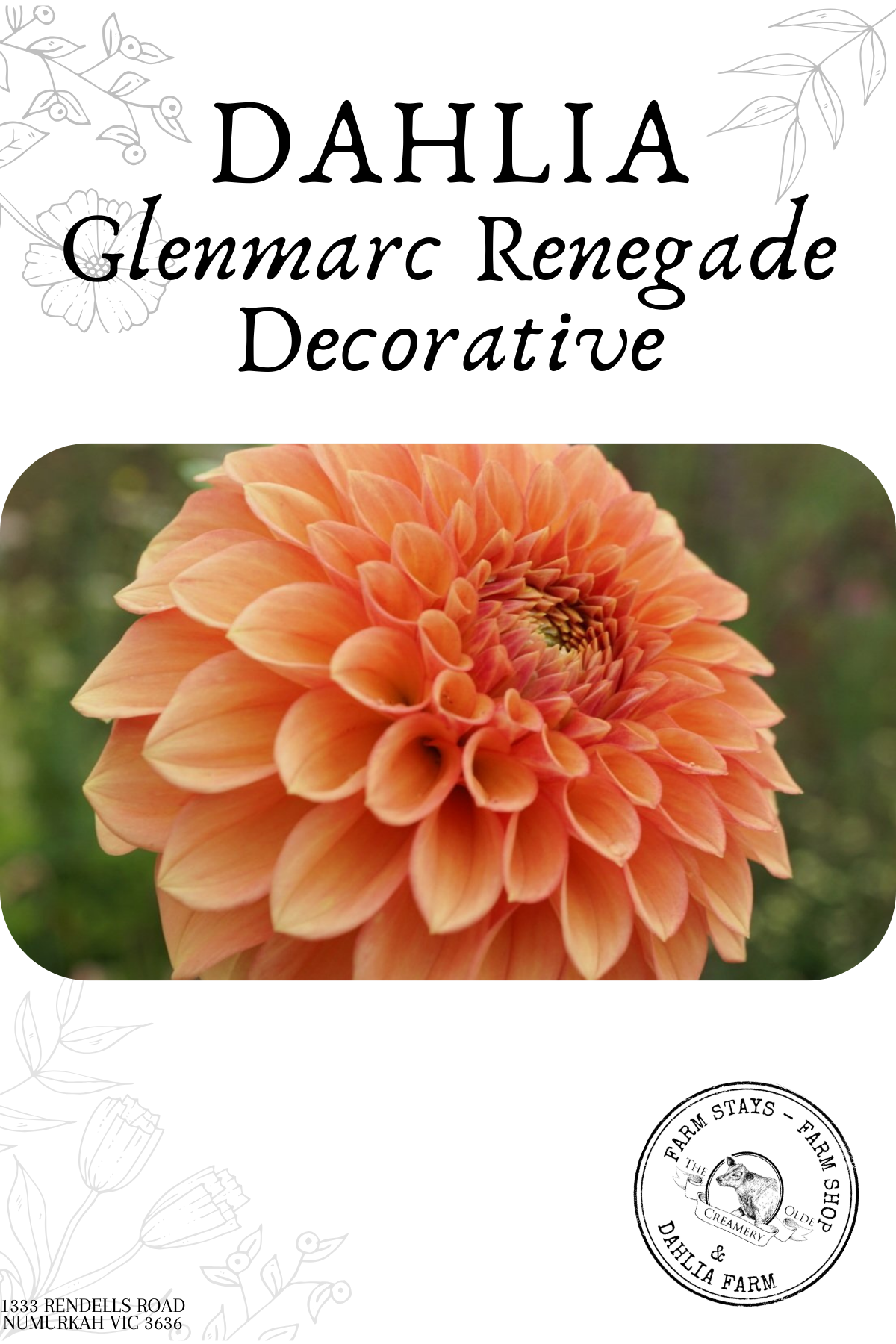 Glenmarc Renegade