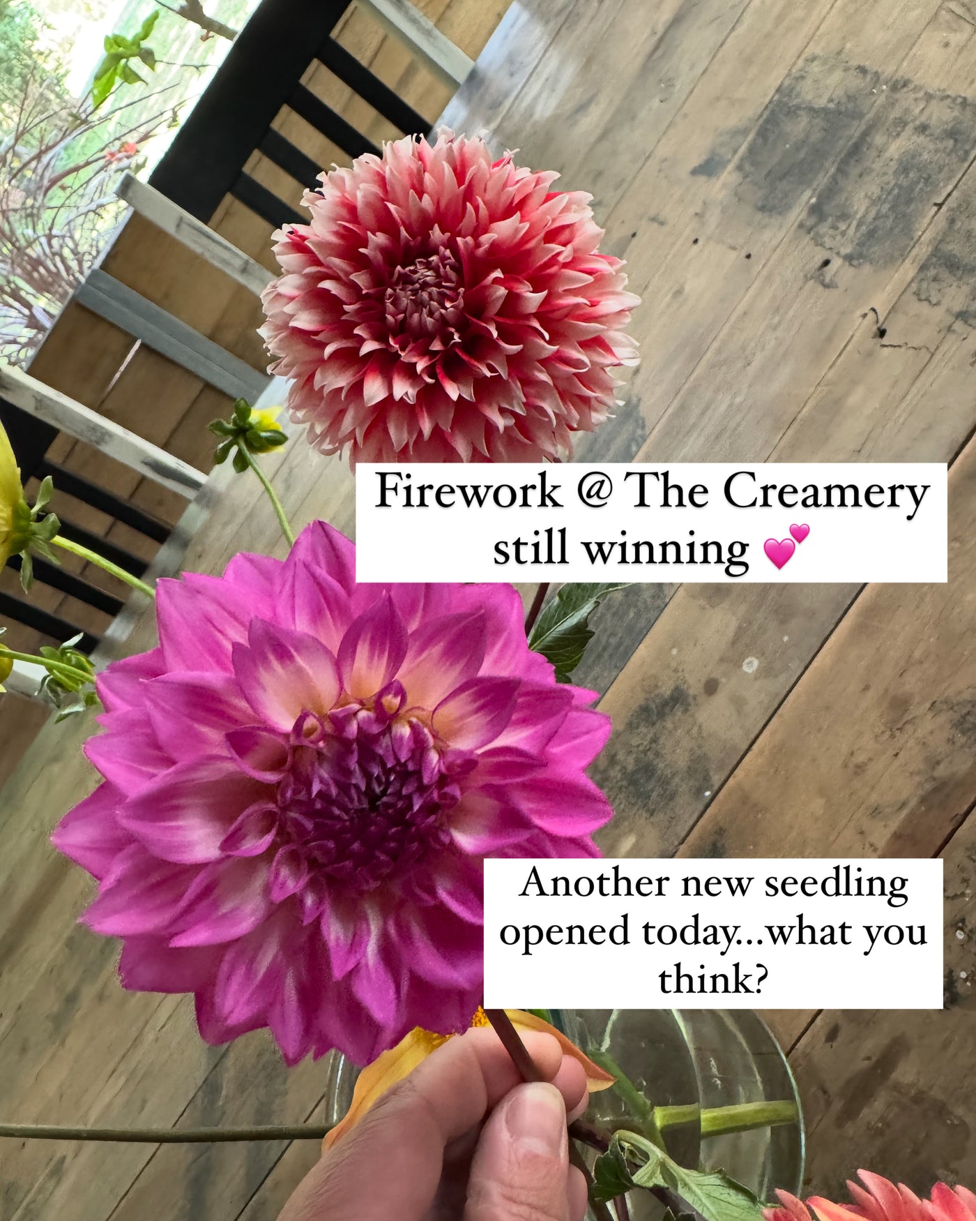 Fireworks @ The Creamery (Yet To Be Released)