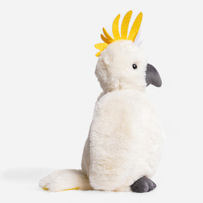 Cockatoo