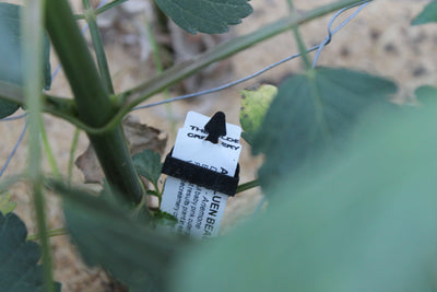 Tag-Lock Stakes