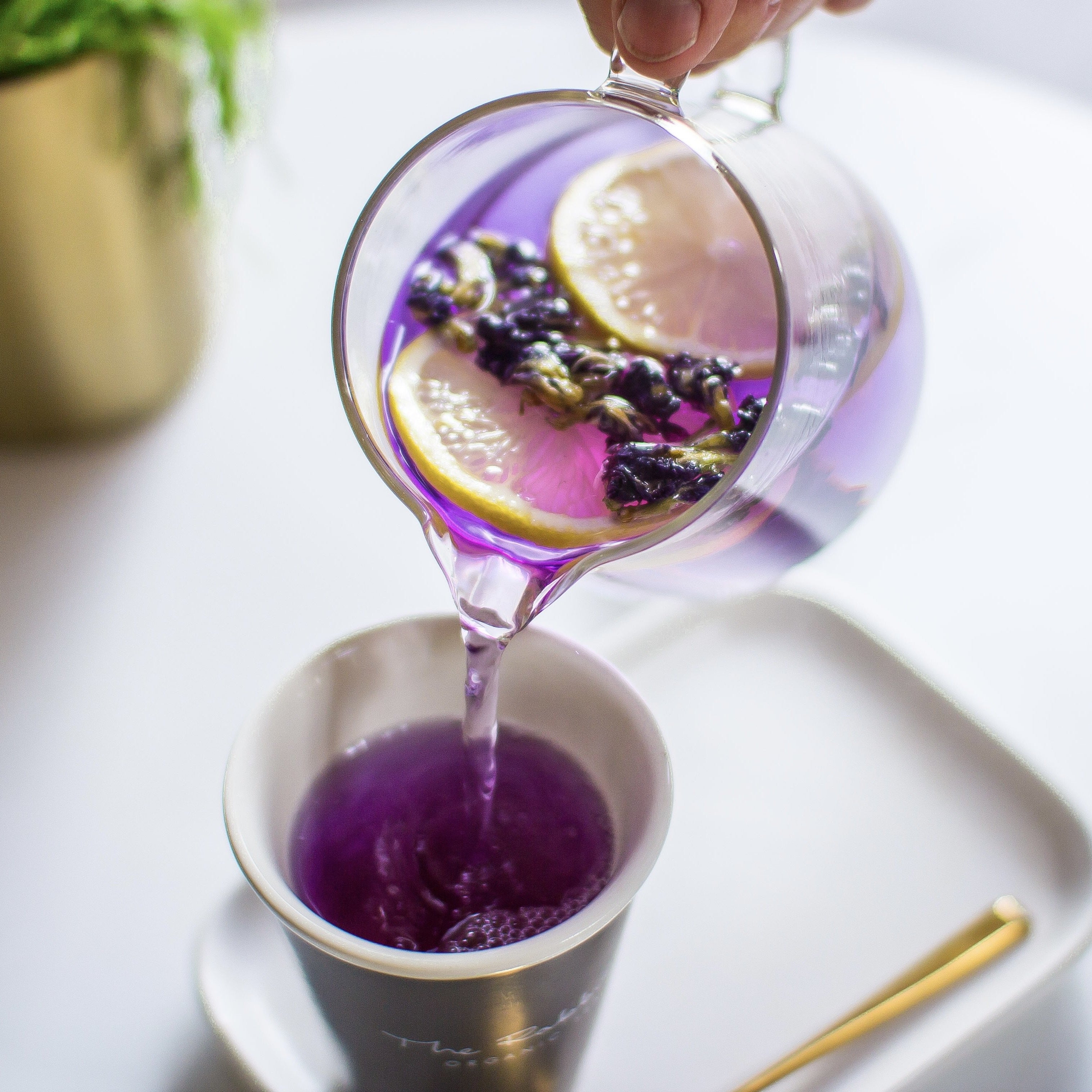 Vivid Colour Changing Tea – The Olde Creamery