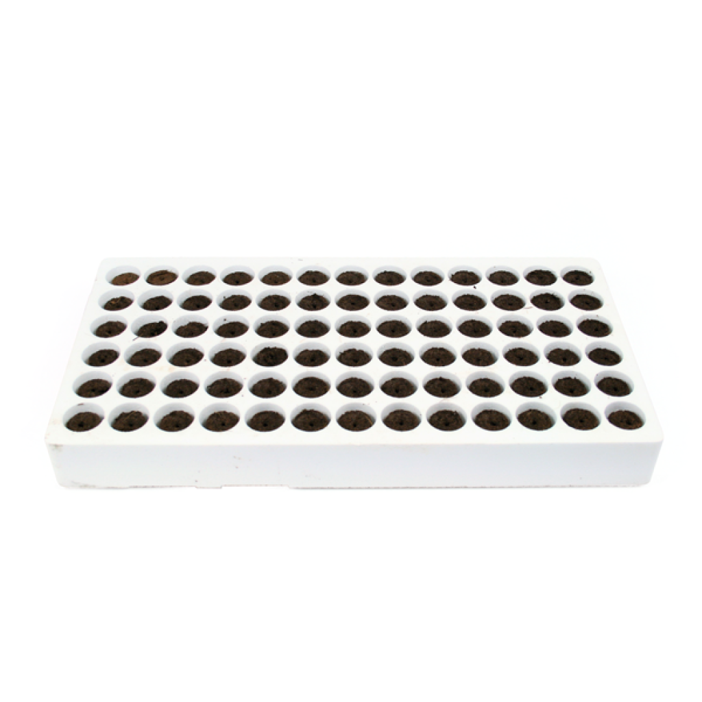 Jiffy 30mm Preforma Plug REFILLS Just like we use - Perfect for cuttings! (PACK of 78)